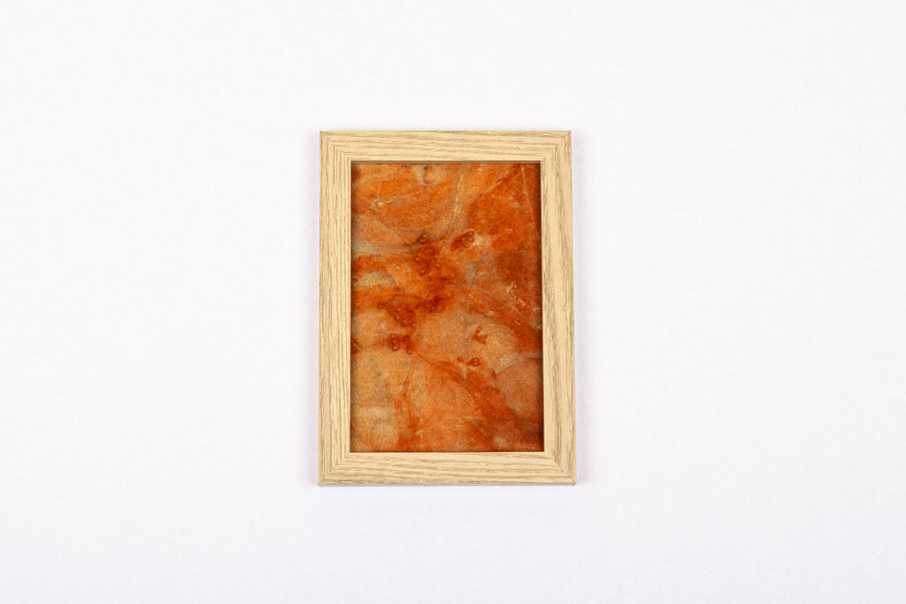 Josie Cosgrove | Where the Light Dances| 5. Orange Gumnuts