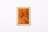 Josie Cosgrove | Where the Light Dances| 5. Orange Gumnuts