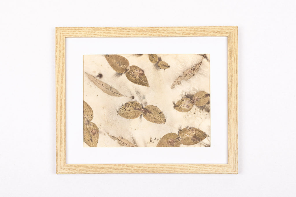 Josie Cosgrove | Where the Light Dances | 51. Prints and Pressings