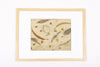 Josie Cosgrove | Where the Light Dances | 52. Garden Palette