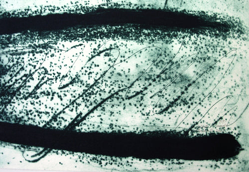 Rowena Evans | Printmaking | West Sounds