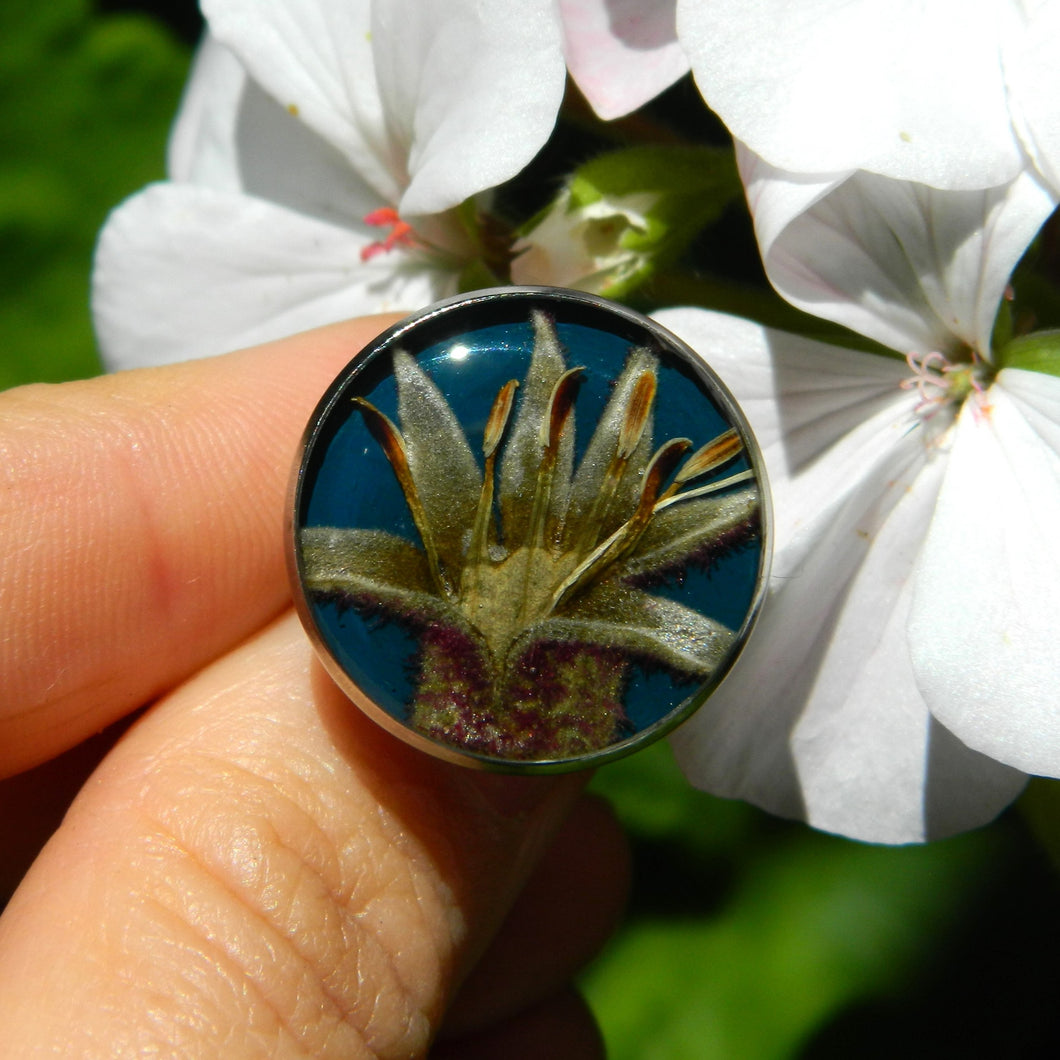 Irina Nazarova | 6. Ring - Kangaroo paw |