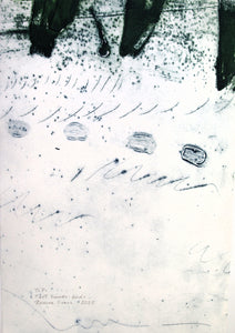 Rowena Evans | Printmaking | East Sounds - birds