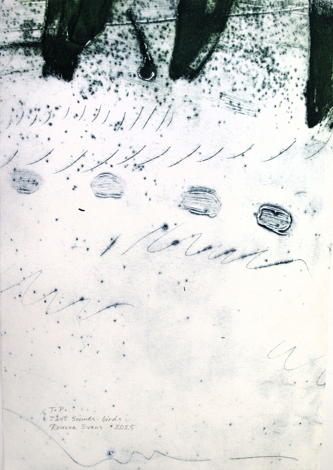 Rowena Evans | Printmaking | East Sounds - birds
