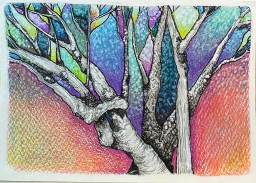 Karen Hill | Dear Forests | Drawing | Magical canopy