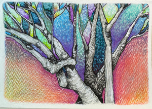 Karen Hill | Dear Forests | Drawing | Magical canopy