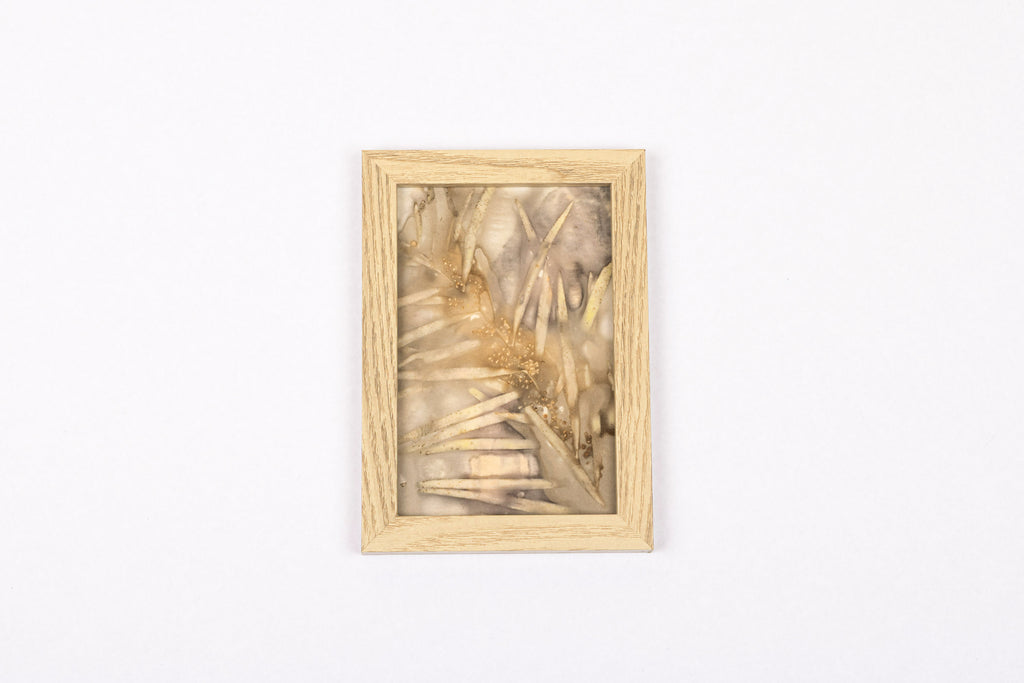 Josie Cosgrove | Where the Light Dances | 7. Wattle of Gold