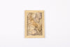 Josie Cosgrove | Where the Light Dances | 7. Wattle of Gold