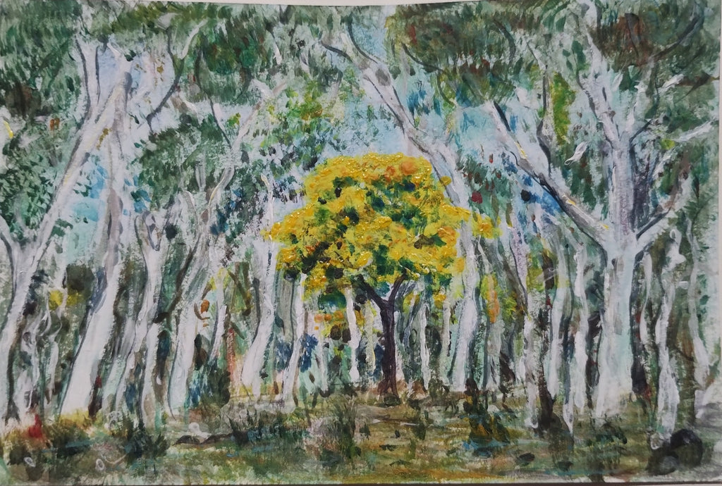 Claire Middleton | Dear Forests | Painting | Wattle, Mt Ainslie