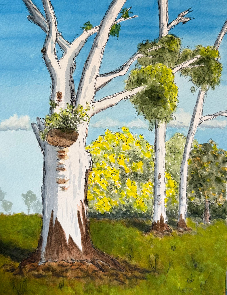 Ami Ward | Painting | Delightful Gums in the ANBG
