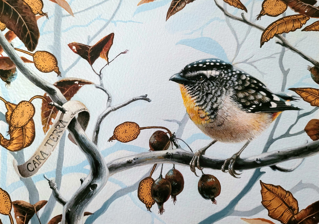Adriana Seserko | Painting | Cara terra
