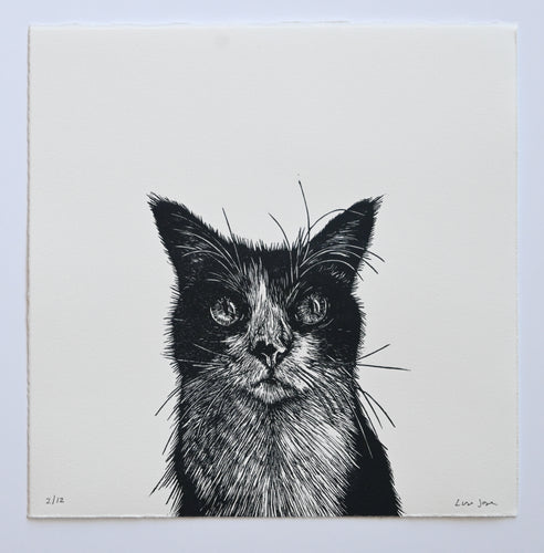 Lisa Jose | Printmaking | Artie