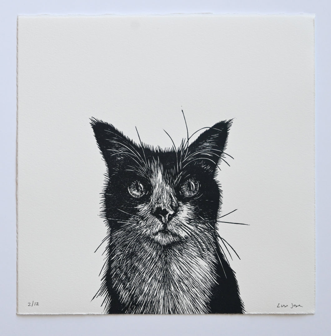 Lisa Jose | Printmaking | Artie