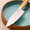 Astleys Knives | Knife | Stainless Steel Kaisaki