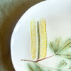 Romanda Ceramics | Plate | Banksia Integrifolia