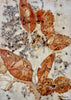 Barbara Dawson | Mixed Media | Earth, held lightly.