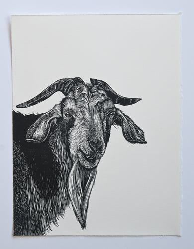 Lisa Jose | Printmaking | Batman