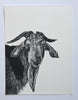 Lisa Jose | Printmaking | Batman