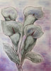 Barbara  Dawson | Mixed Media | Becoming Form