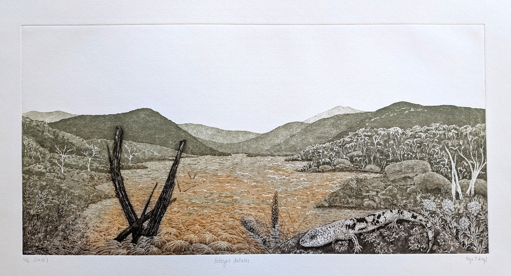 Fenja T. Ringl | Printmaking | Boboyan Autumn (Solo Ed.). Ed. 1 of 12, framed