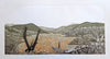 Fenja T. Ringl | Printmaking | Boboyan Autumn (Solo Ed.). Ed. 1 of 12, framed