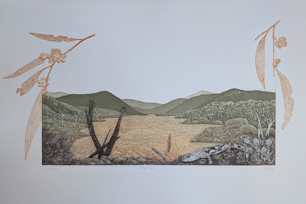 Fenja T. Ringl | Printmaking | Boboyan Autumn (Inset Ed.). Ed. 1 of 6, framed