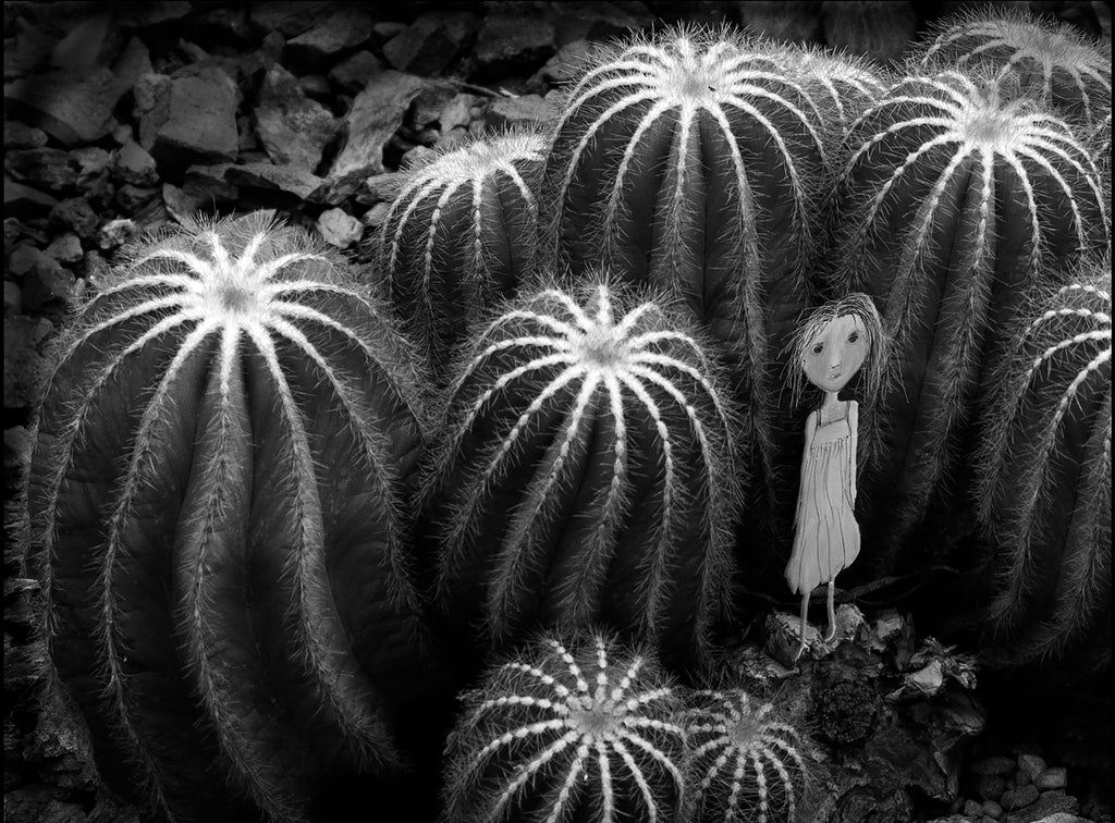 Brenda Runnegar | Digital Media | Cactus Hideout