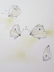 Sharon Field | 3000 days... and counting... | Drawing | Cabbage White Butterfly