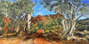 Celina Fava | Painting | Flinders Ranges