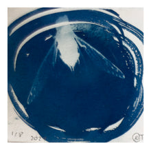 Load image into Gallery viewer, Rebecca Tapscott | Echoes of Absence | Printmaking | Cicadas