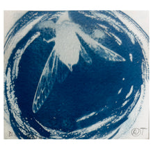 Load image into Gallery viewer, Rebecca Tapscott | Echoes of Absence | Printmaking | Cicadas