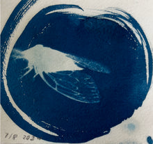 Load image into Gallery viewer, Rebecca Tapscott | Echoes of Absence | Printmaking | Cicadas