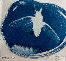 Load image into Gallery viewer, Rebecca Tapscott | Echoes of Absence | Printmaking | Cicadas