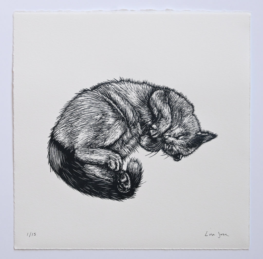 Lisa Jose | Printmaking | Colin Robinson