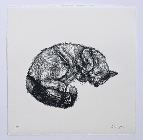 Lisa Jose | Printmaking | Colin Robinson