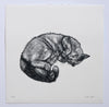 Lisa Jose | Printmaking | Colin Robinson