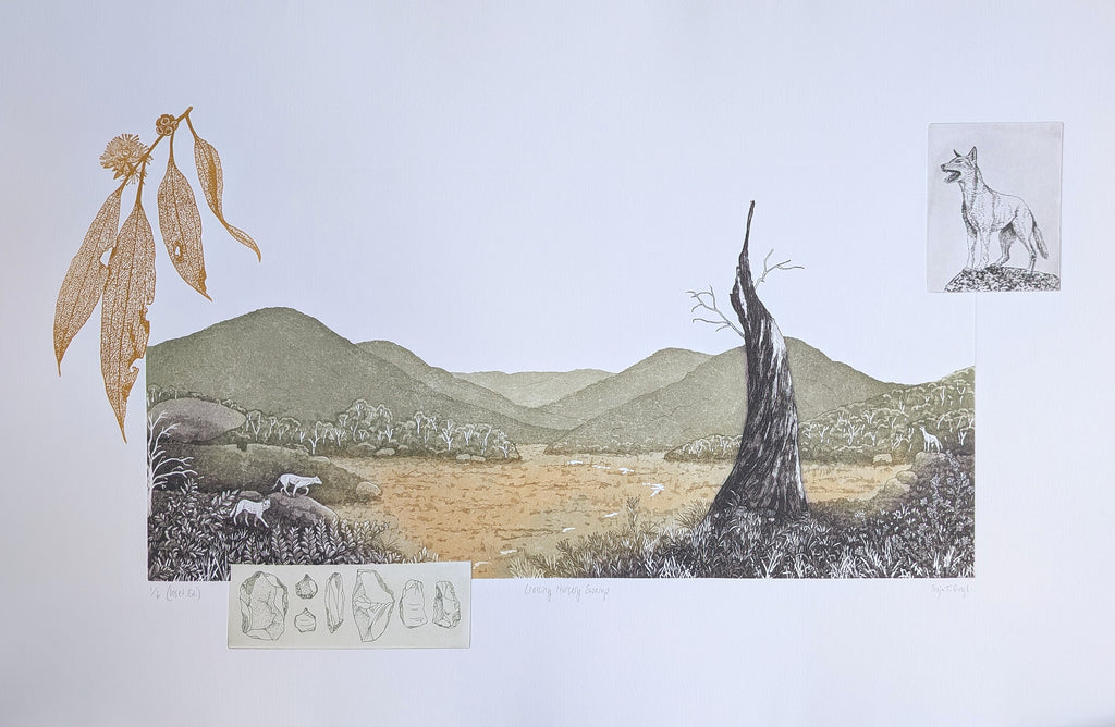 Fenja T. Ringl | Printmaking | Crossing Nursery Swamp (Inset Ed.) Ed. 1 of 6, framed