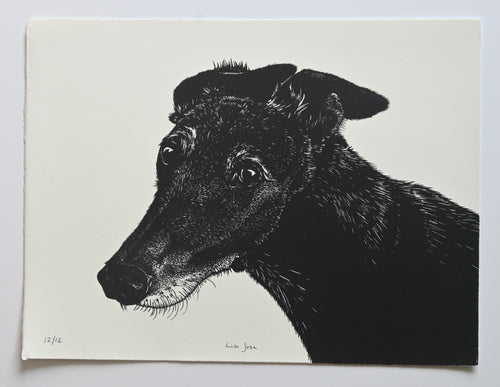 Lisa Jose | Printmaking | Diana