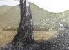 Fenja T. Ringl | Printmaking | Dingo Calling Across Nursery Valley. AP2, framed