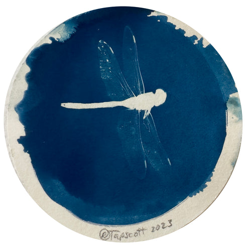 Rebecca Tapscott | Echoes of Absence | Printmaking | Dragonfly