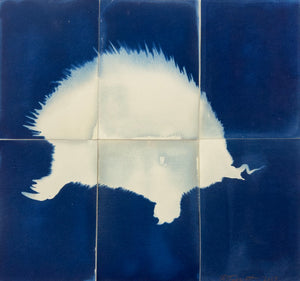 Rebecca Tapscott | Echoes of Absence | Printmaking | Echidna