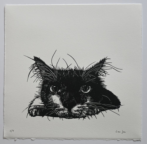 Lisa Jose | Printmaking | Edith