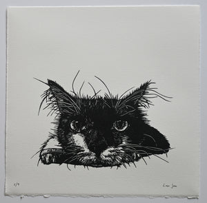 Lisa Jose | Printmaking | Edith