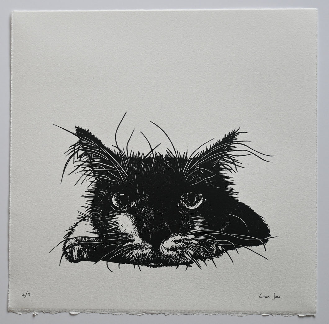Lisa Jose | Printmaking | Edith
