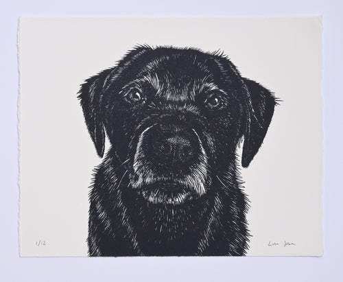 Lisa Jose | Printmaking | Ellen