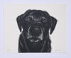 Lisa Jose | Printmaking | Ellen
