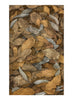 Emma Kelly | Mixed Media | Leaf Litter