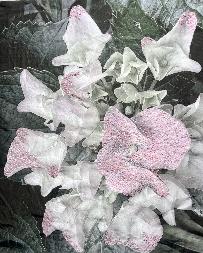 Barbara  Dawson | Mixed Media | Faded Beauty: Hydrangea