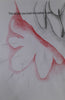Heidi  Smith | Drawing | Liver resection drawing series 1-8  5. Flower