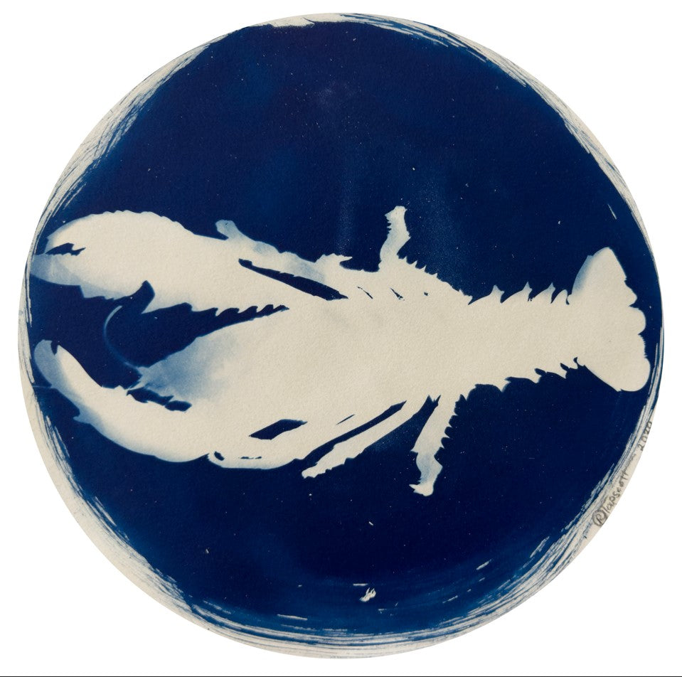 Rebecca Tapscott | Echoes of Absence | Printmaking | Freshwater Crayfish